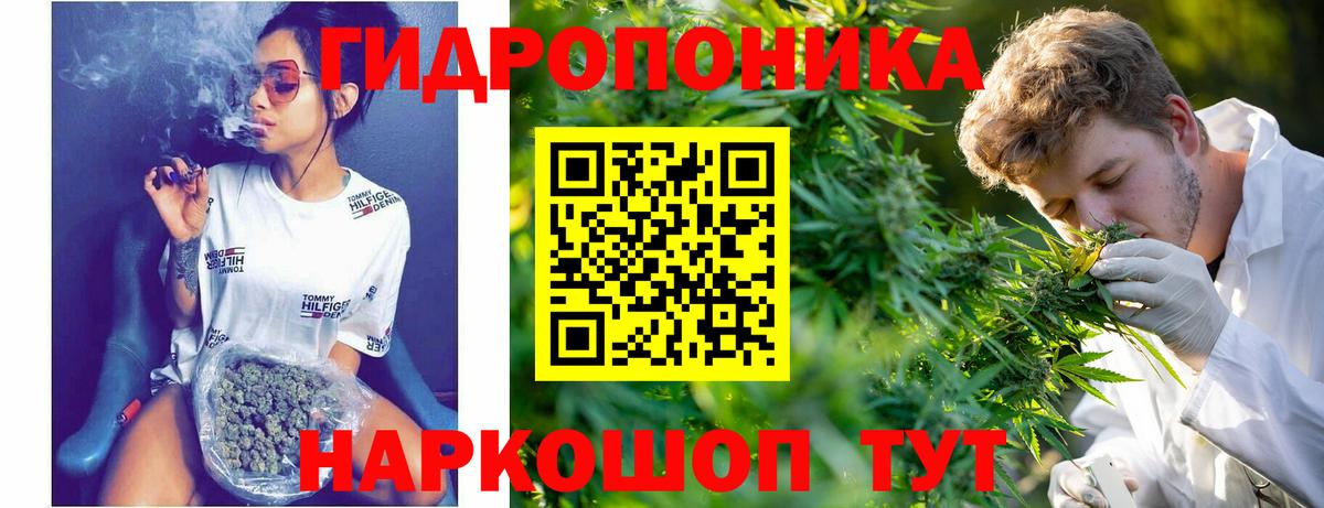 Конопля OG Kush  МАРИХУАНА SATIVA & INDICA  Вход с VPN  Ухта  Марихуана VHQ 